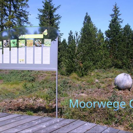 Ferienwohnung Schoene Auszeit Oy-Mittelberg Extérieur photo