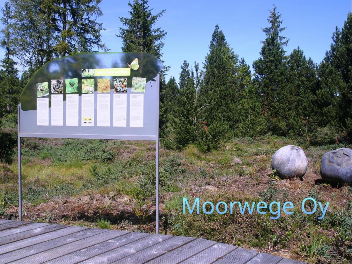 Ferienwohnung Schoene Auszeit Oy-Mittelberg Extérieur photo